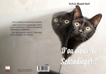 D'où viens-tu Schrödinger ? – Image 3